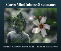 Curso Mindfulness 8 semanas (MBSR)